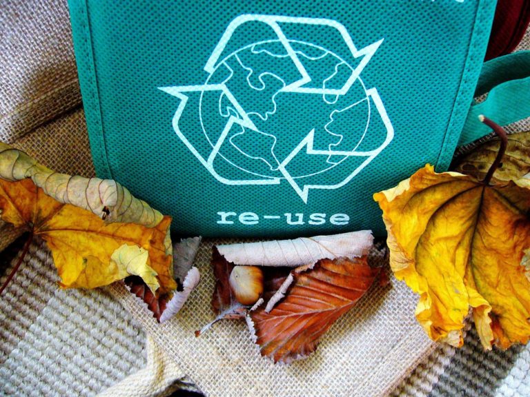 Lire la suite à propos de l’article Le recyclage en Questions