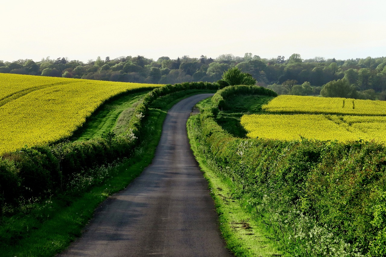 You are currently viewing Digital Sustainability